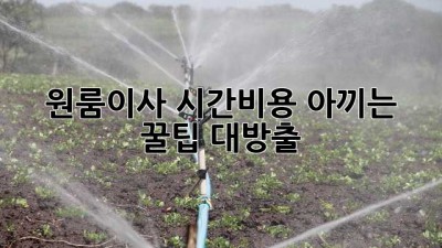 📦 원룸이사? 시간&비용 아끼는 꿀팁🍯 대방출!