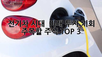 전기차 시대, 🚀 미래 투자 기회 & 주목할 주식 TOP 3! 🤑