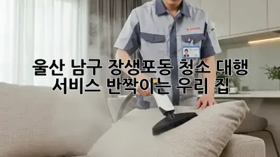 울산 남구 장생포동🏡 청소 대행 서비스, ✨반짝이는 우리 집✨